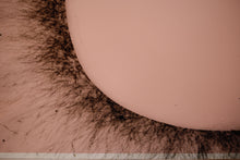 Load image into Gallery viewer, DOMED Original Exploded Artwork